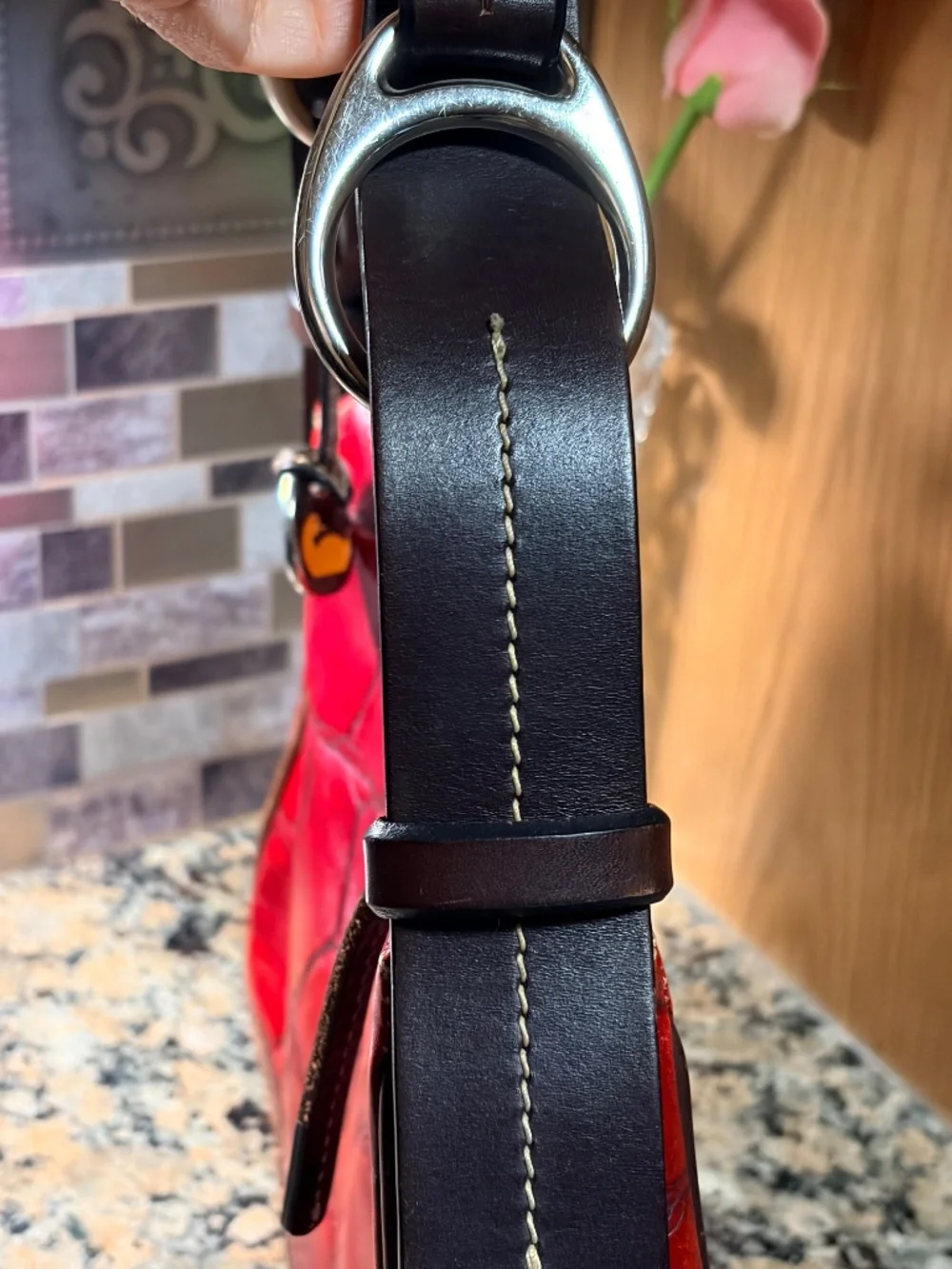 Dooney and Bourke Red Croc Bag